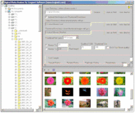 Digital Photo Resizer screenshot